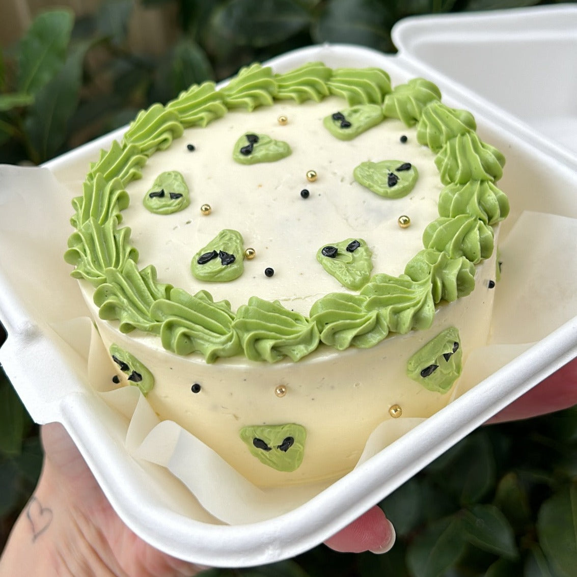 We Are Not Alone Bento Cake side view