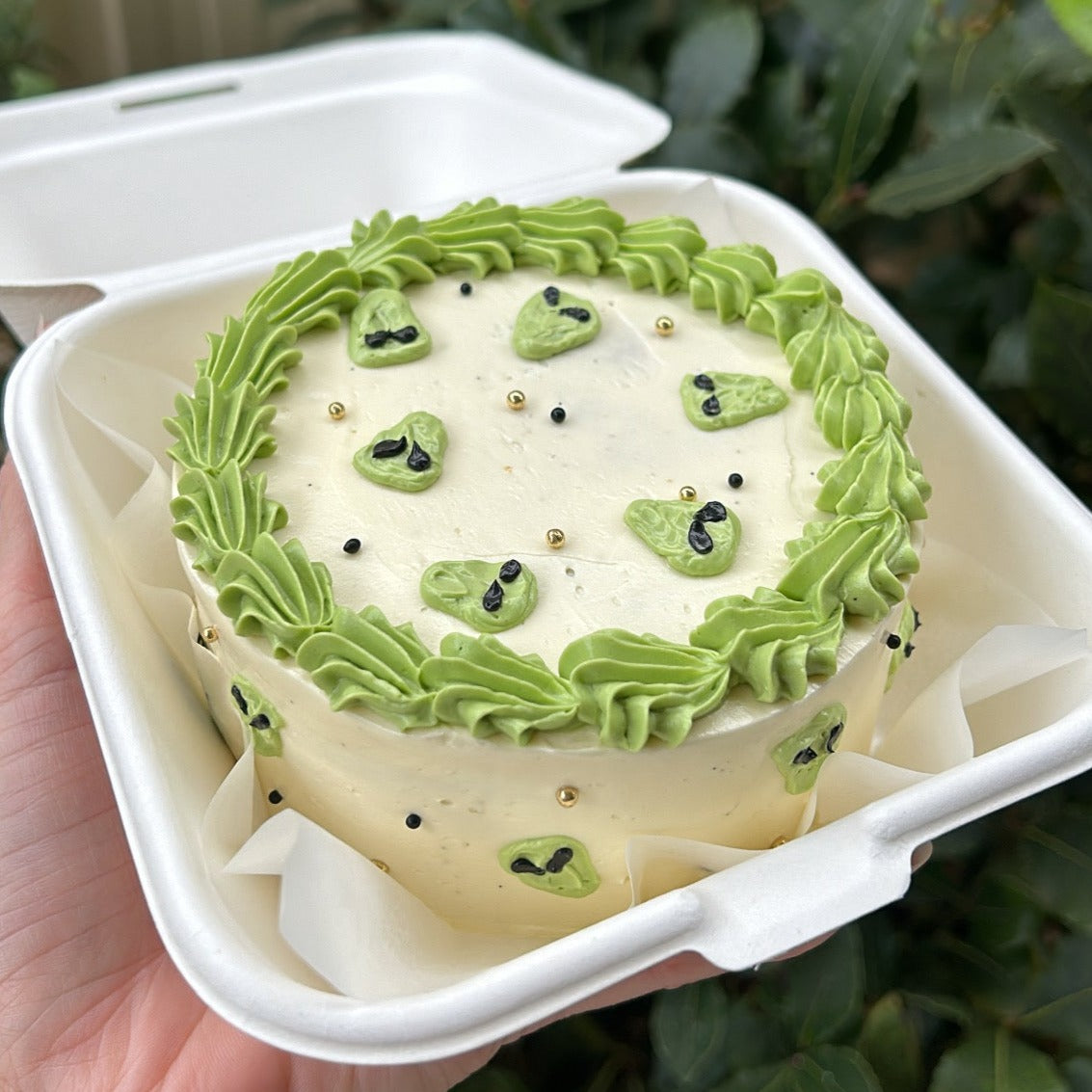 We Are Not Alone Bento Cake top side view