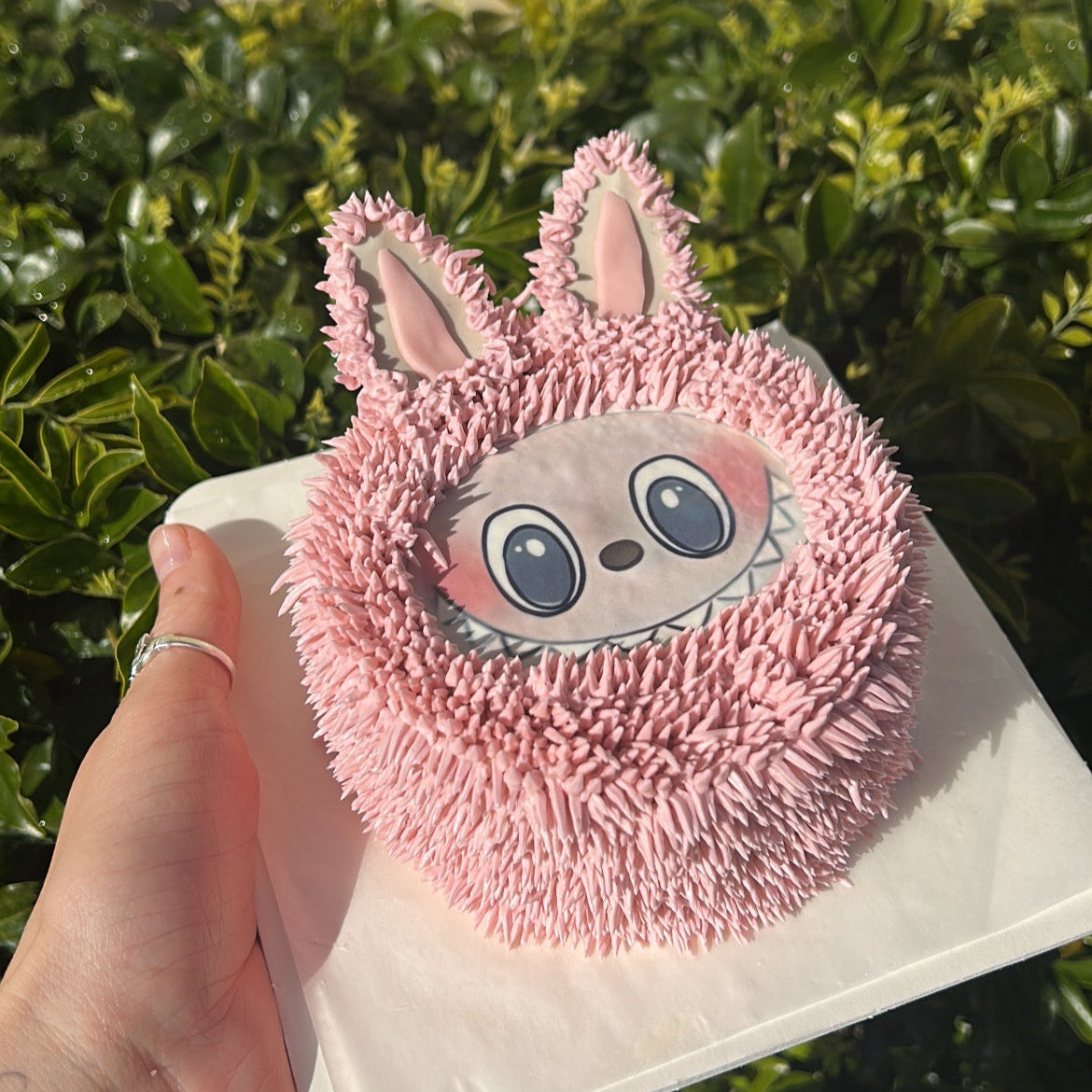 Labubu Bento Cake | ラブブ弁当ケーキ