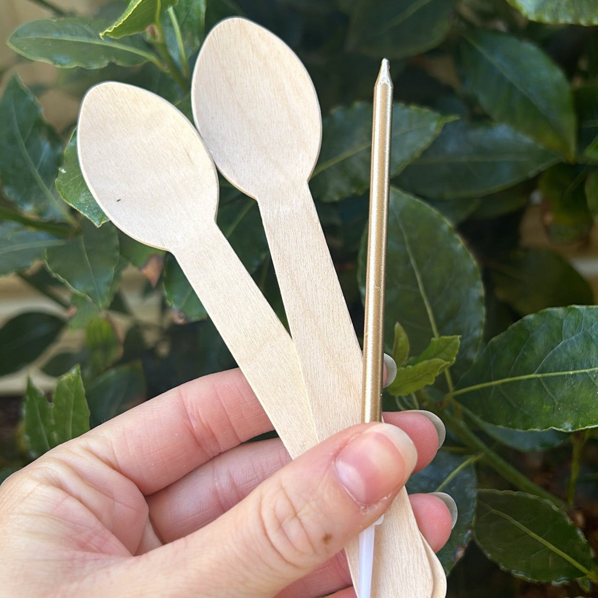 Pretty In Pink Bento Cake | プリティ・イン・ピンクお弁当ケーキ