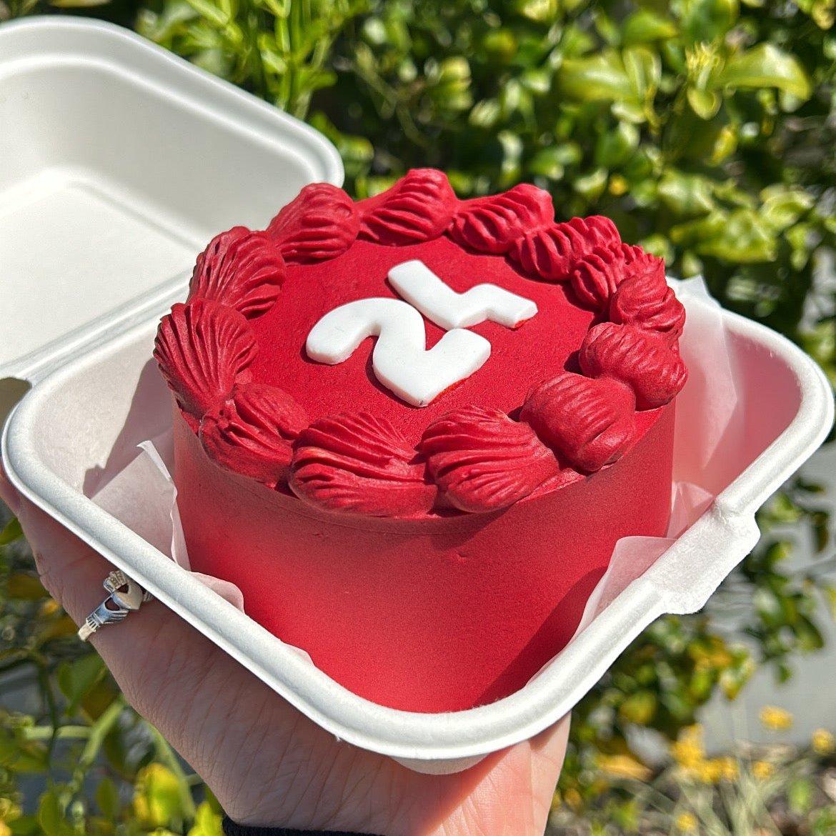 What's My Age Again Bento Cake side view all red