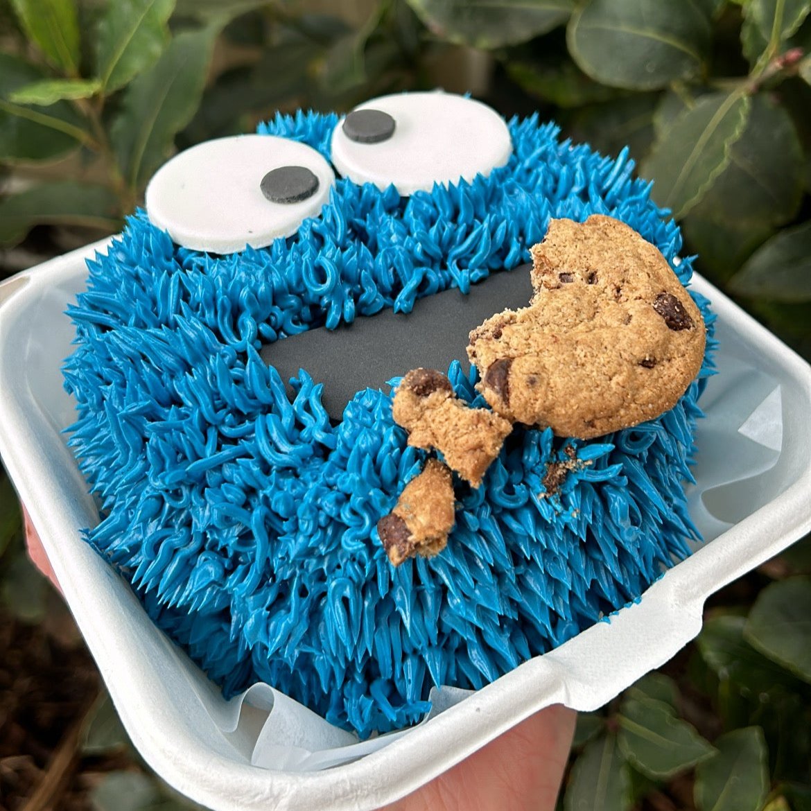 Cookie Monster Bento Cake side view