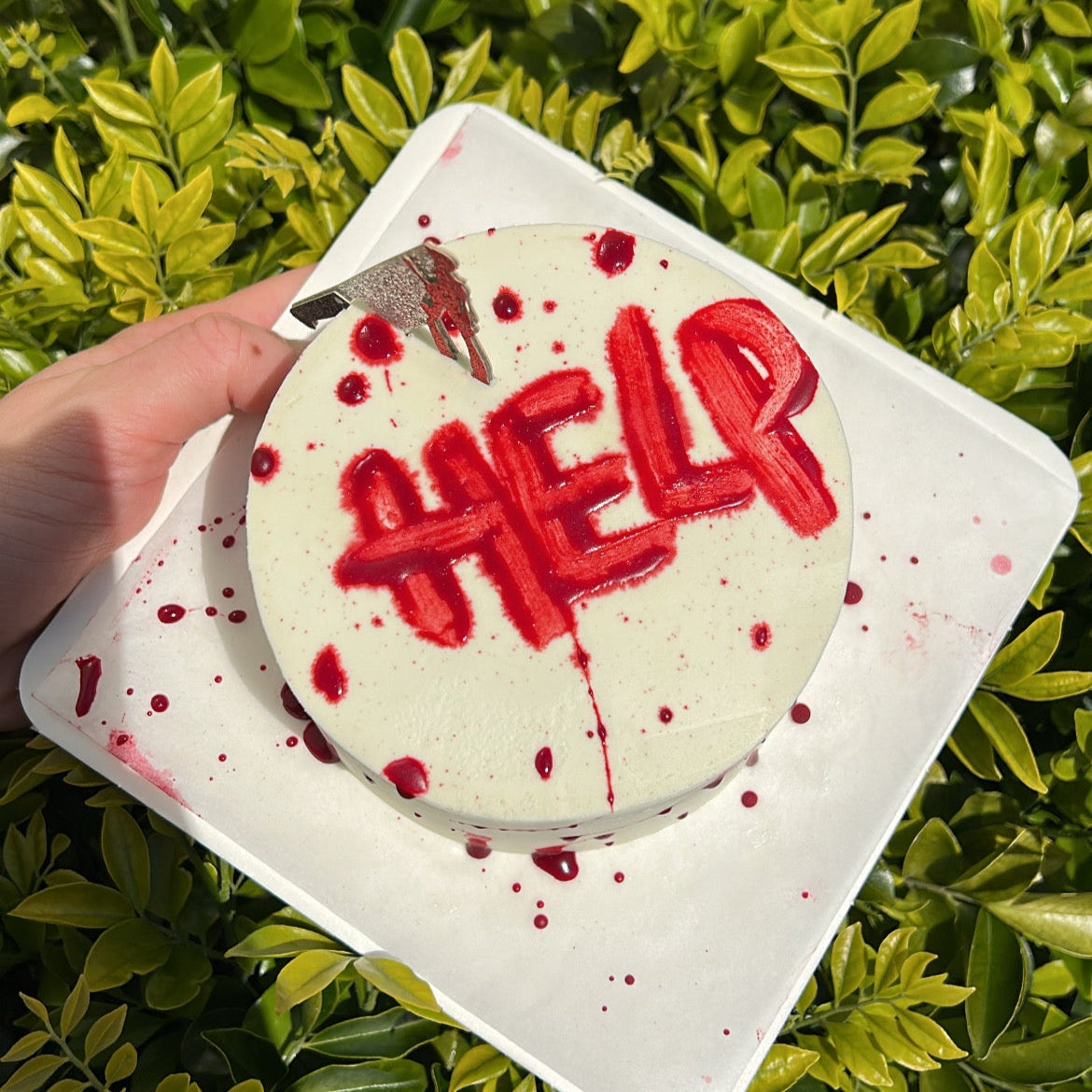 Help Me Bento Cake | 助けて弁当ケーキ