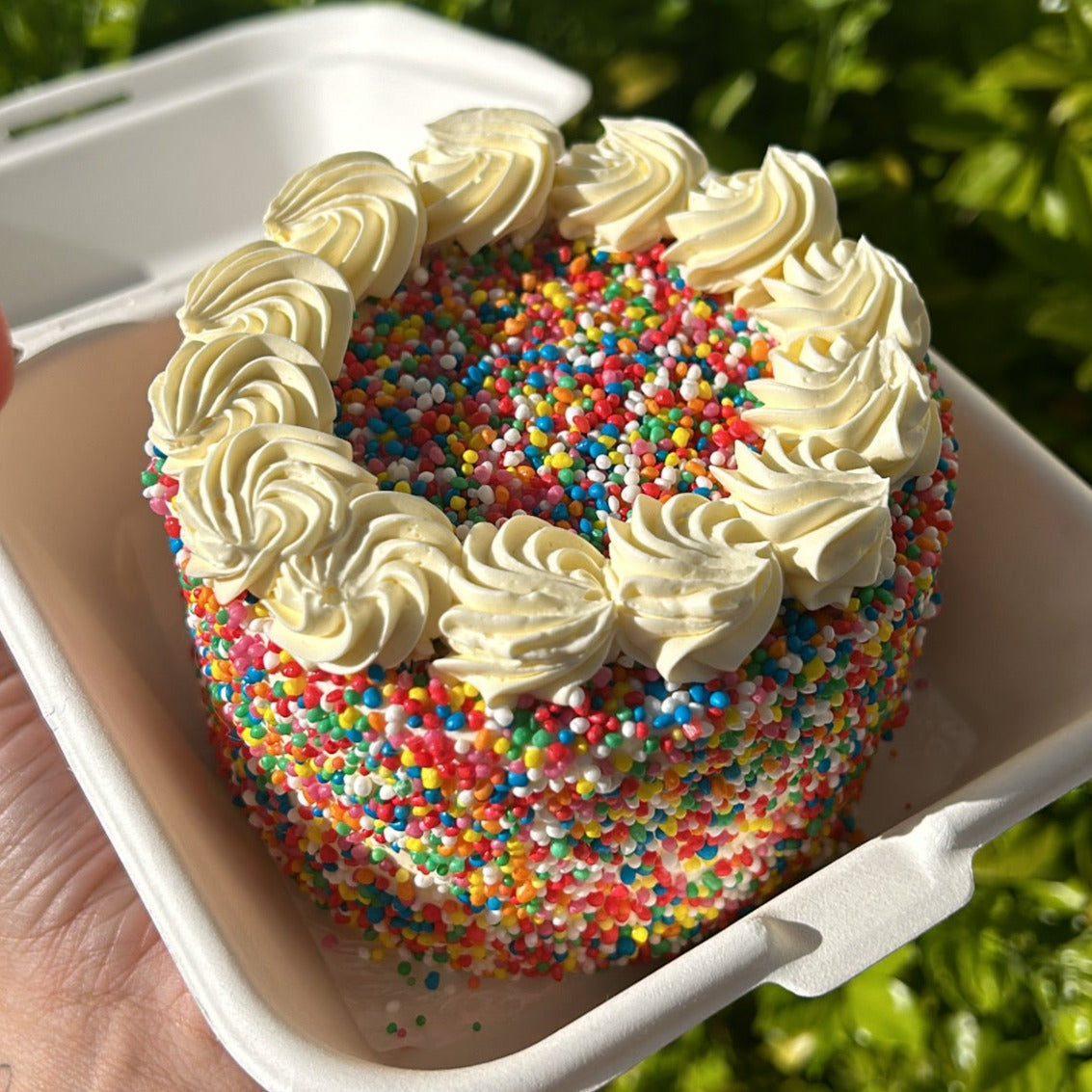 Sprinkles Bento Cake back side view