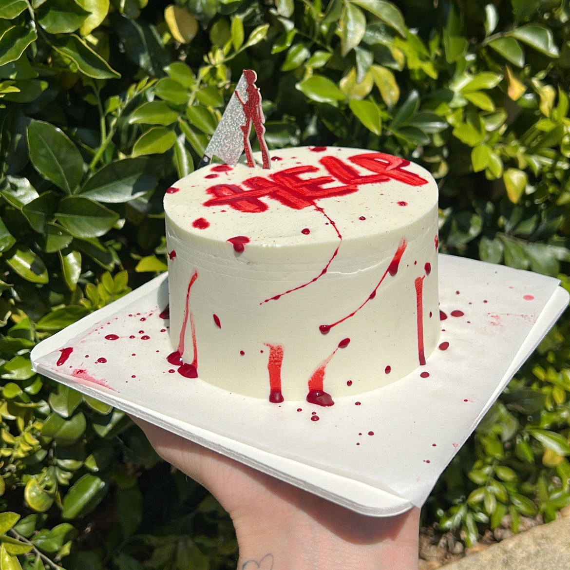 Help Me Bento Cake | 助けて弁当ケーキ