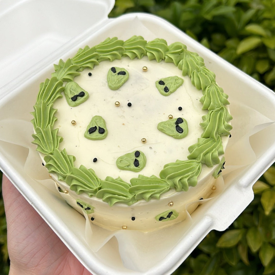 We Are Not Alone Bento Cake top view