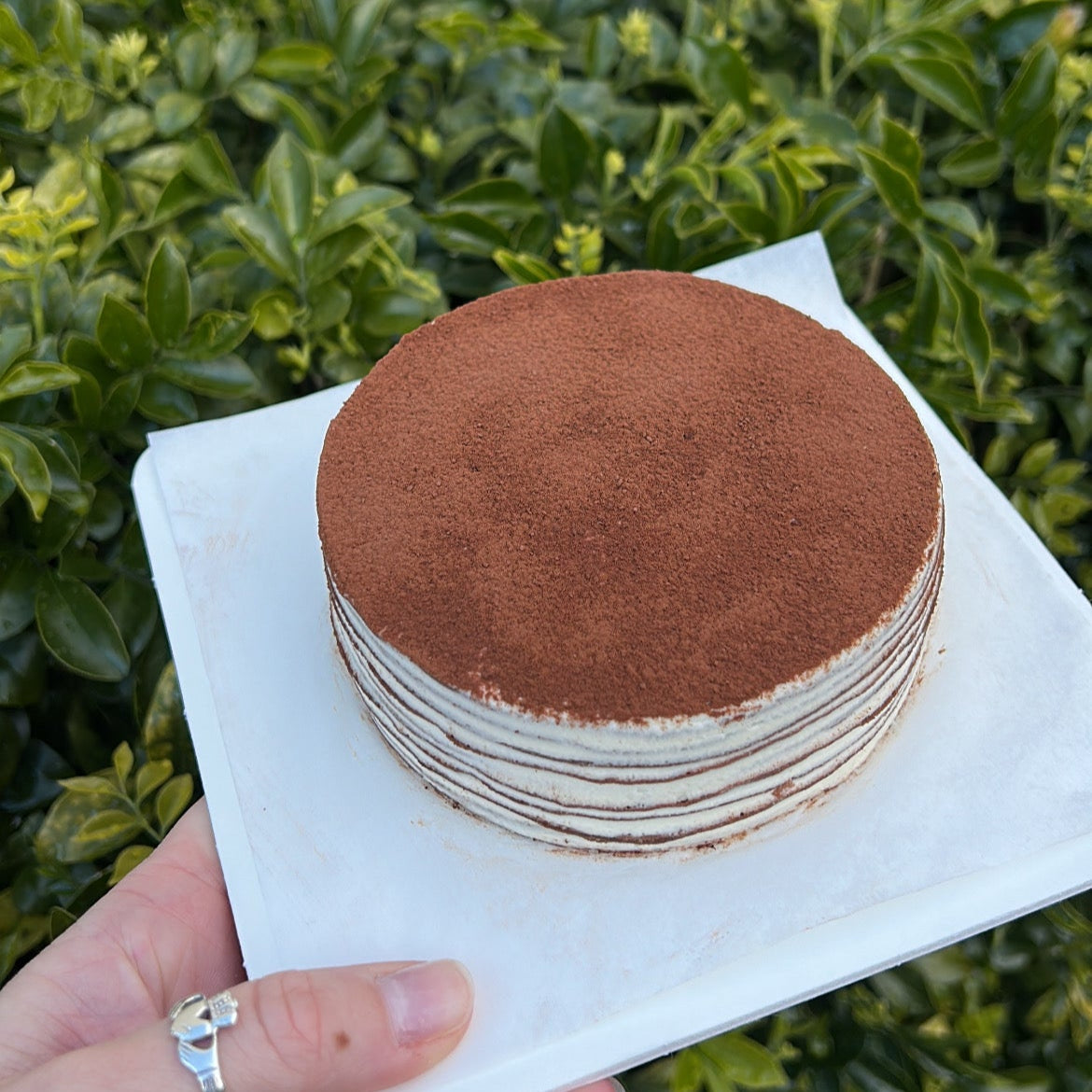 Top of a layered chocolate crepe cake with a cocoa dusting topping, held on a white cake board against a green leafy background.