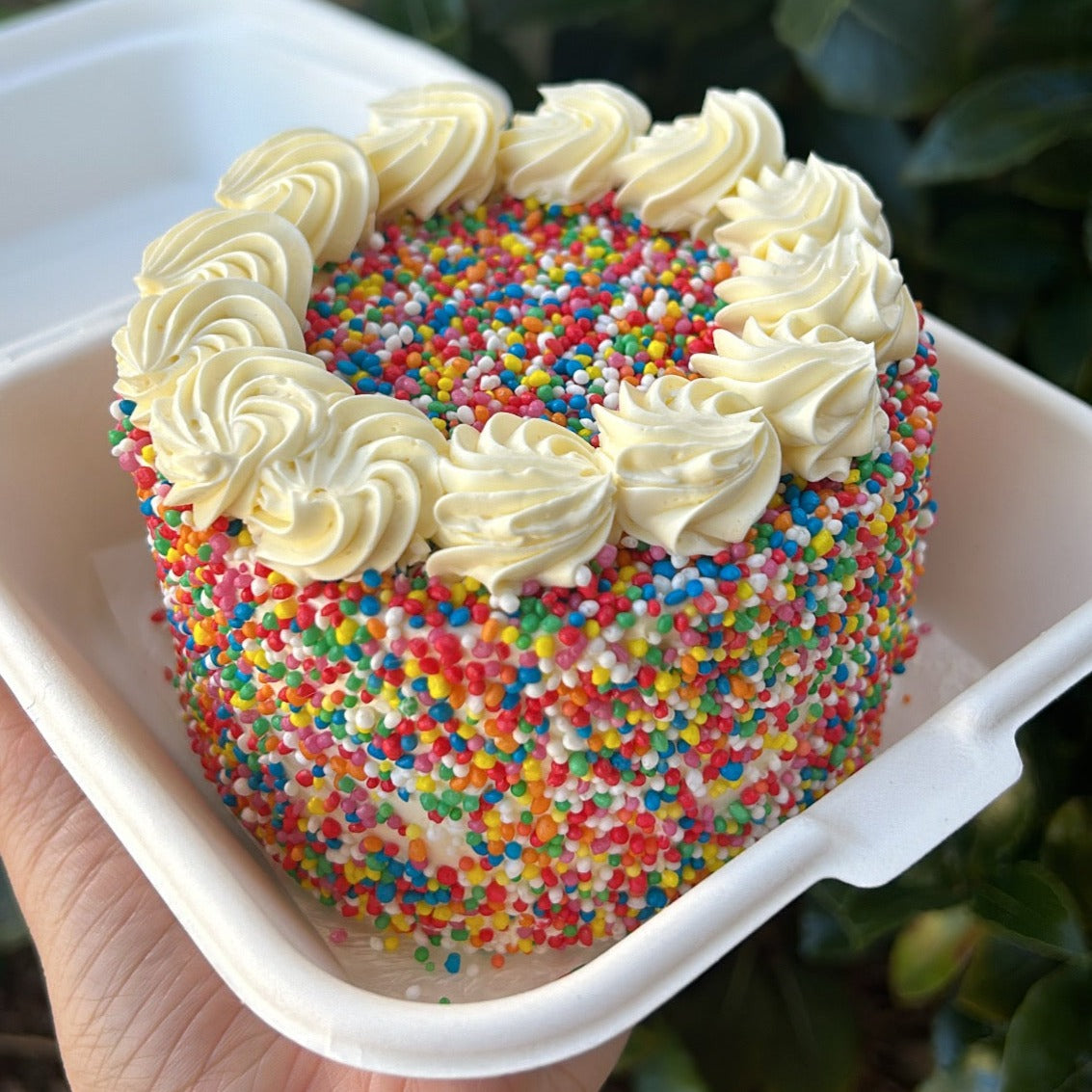 Sprinkles Bento Cake side view