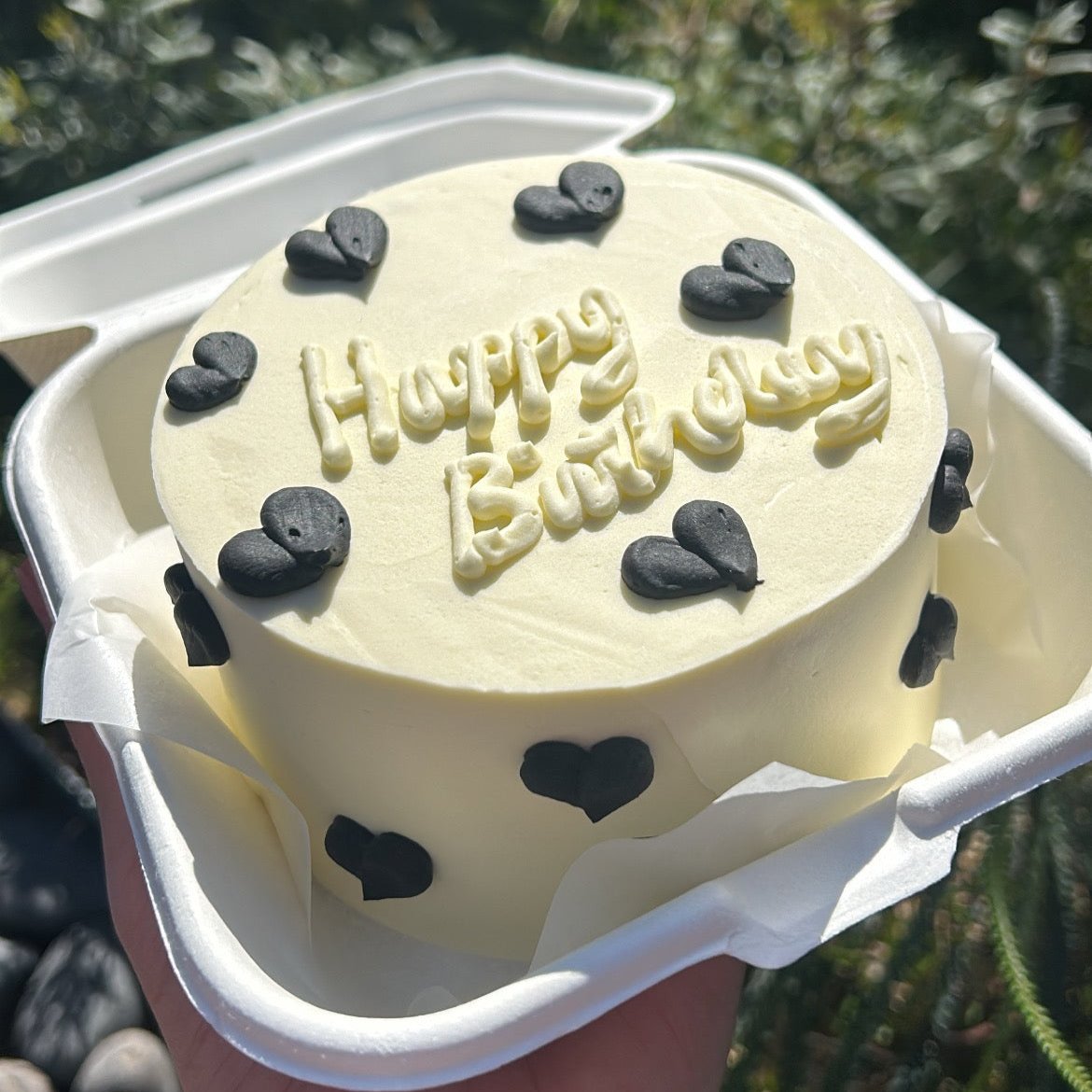 Midnight Love Bento Cake front side view birthday