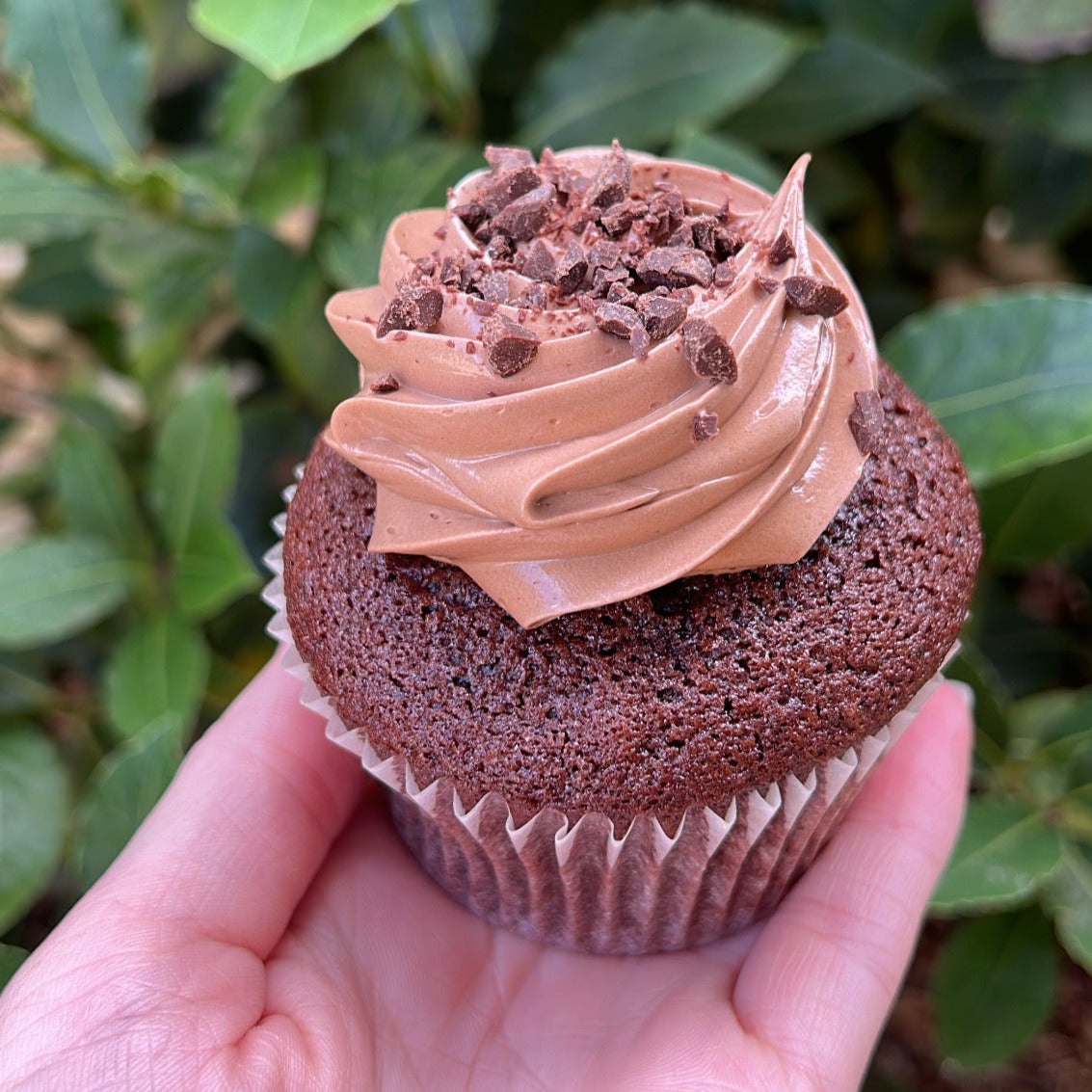 Cupcakes (12 pack)