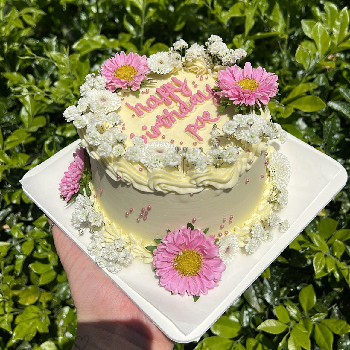 Small white bento cake with fresh pink and white flowers and babys breath, held by a hand against a green leafy background.