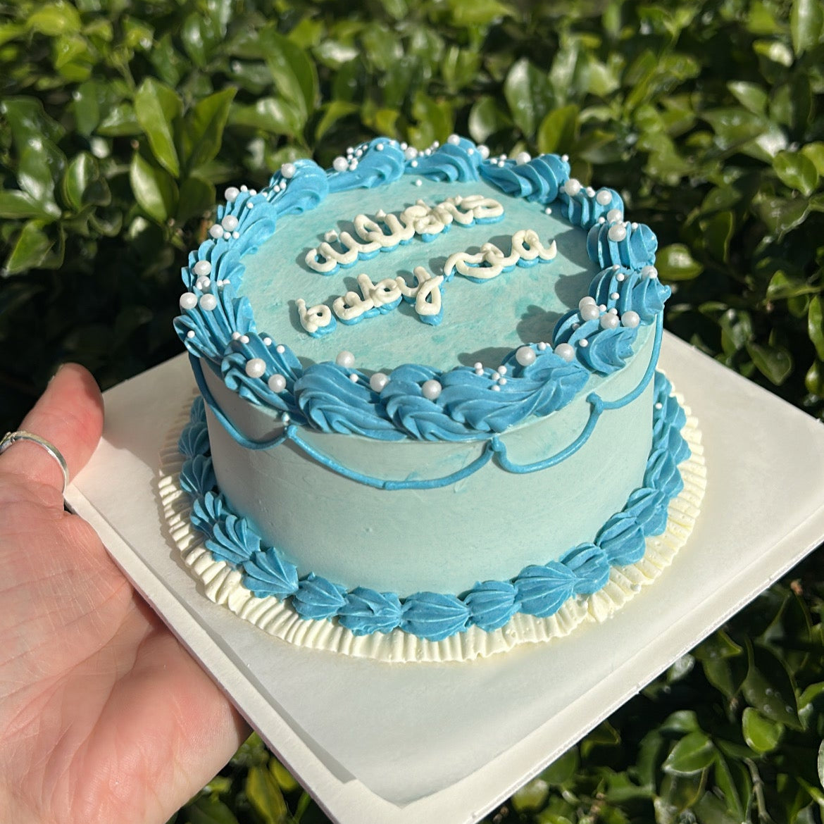 Small baby blue bento cake with blue frosting border and white sprinkles, held by a hand against a green leafy background.