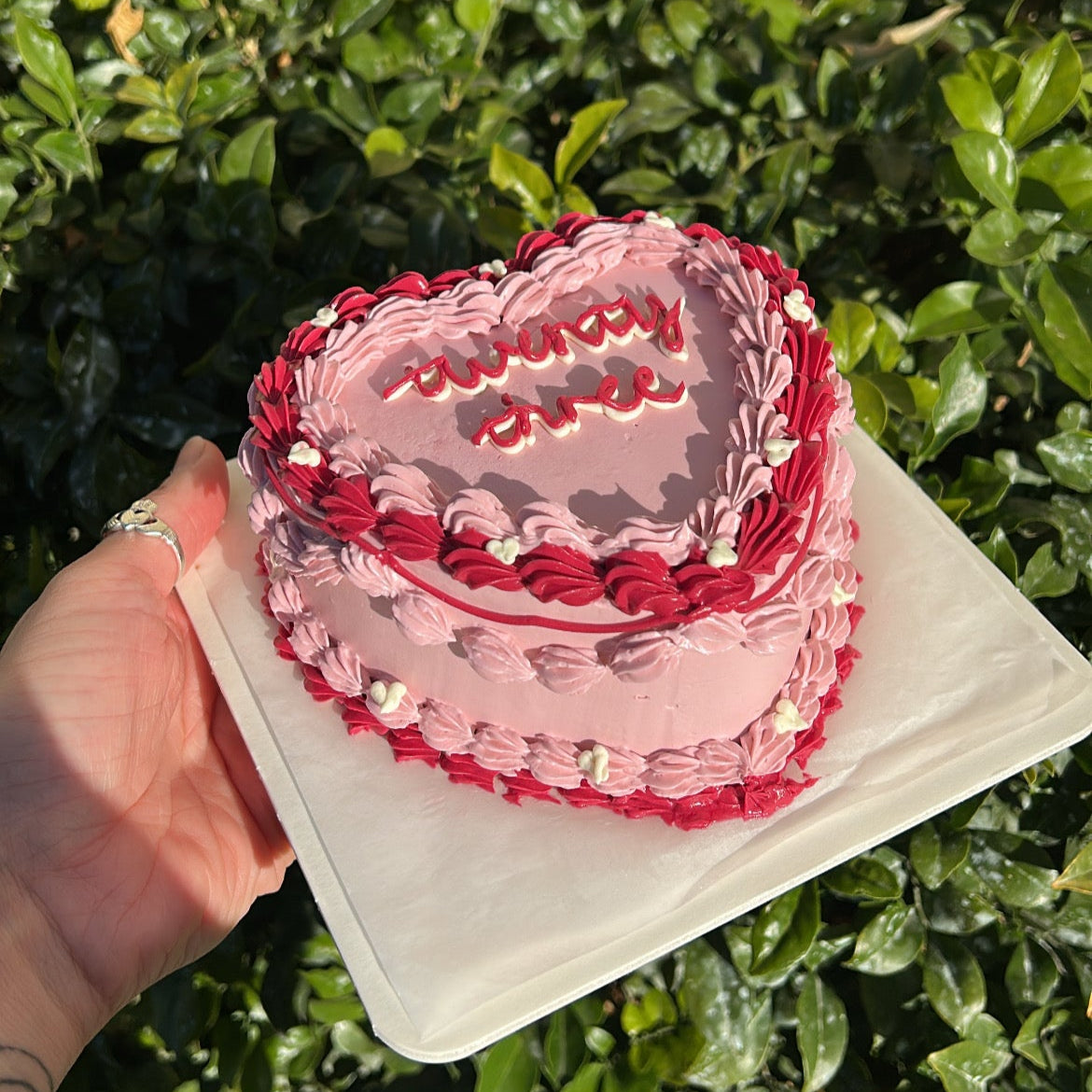 Baby pink heart shaped bento cake with baby pink and raspberry pink frosting border, held by a hand against a green leafy background.