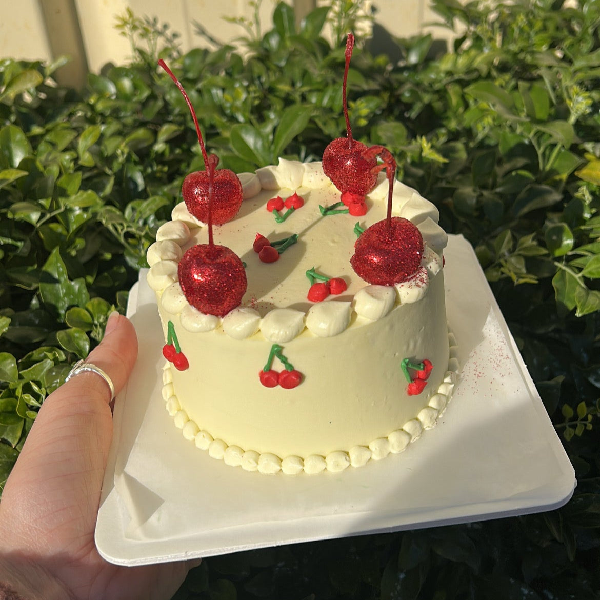 Cheeky Cherry Bento Cake | さくらんぼ弁当ケーキ