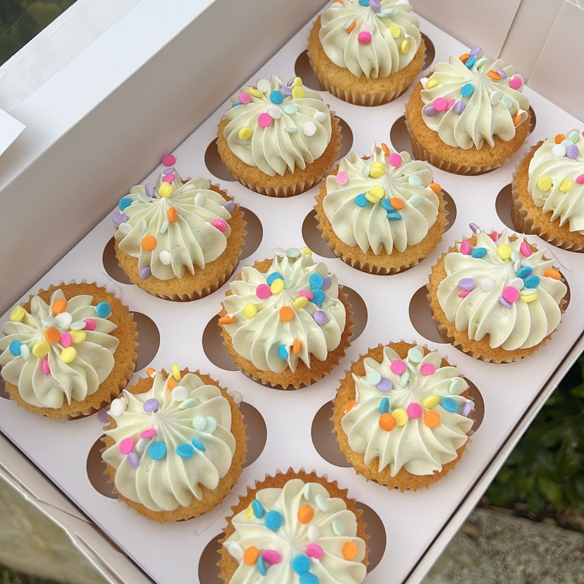 Colour Matched Babycakes (12 pack)