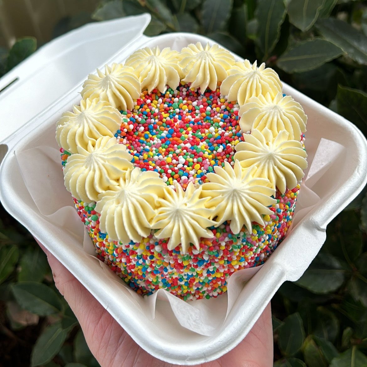 Sprinkles Bento Cake side view 