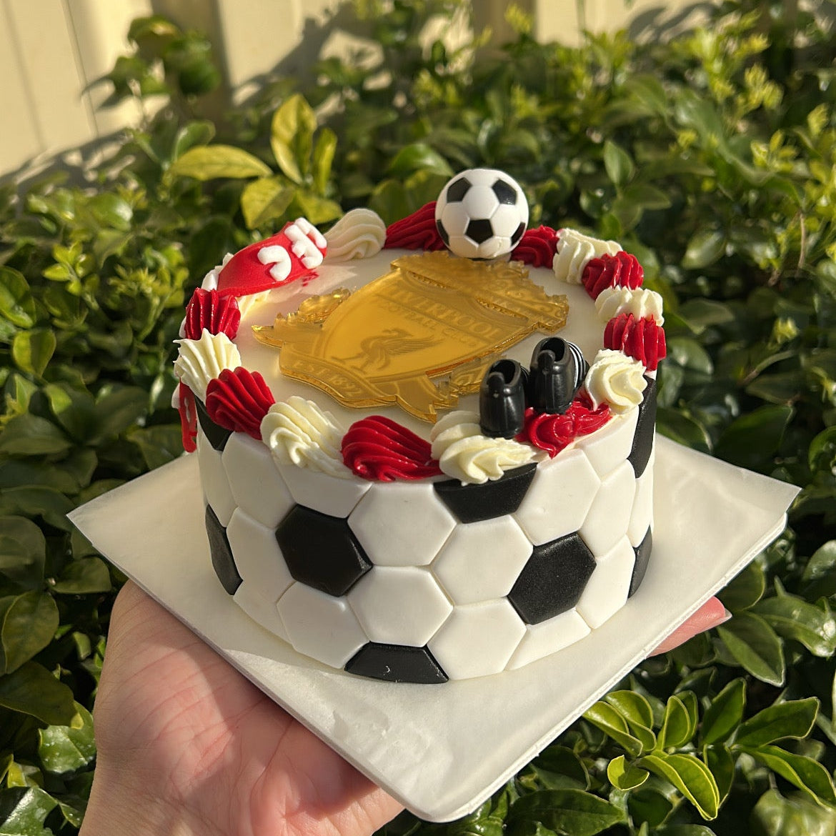 Novelty Bento Cake