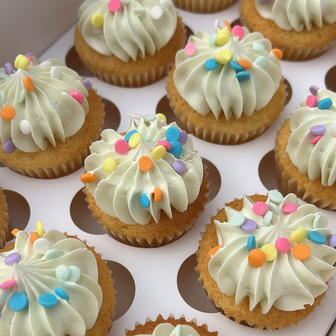 Colour Matched Babycakes (12 pack)