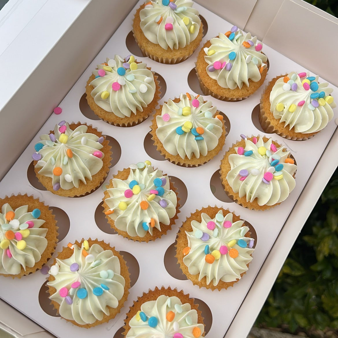 Colour Matched Babycakes (12 pack)