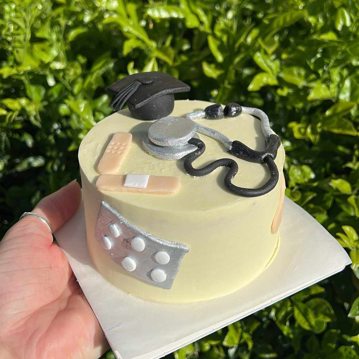Novelty Bento Cake