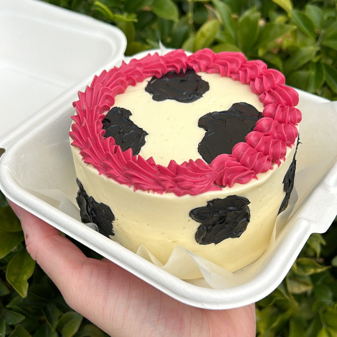 Yeehaw Bento Cake top side view 