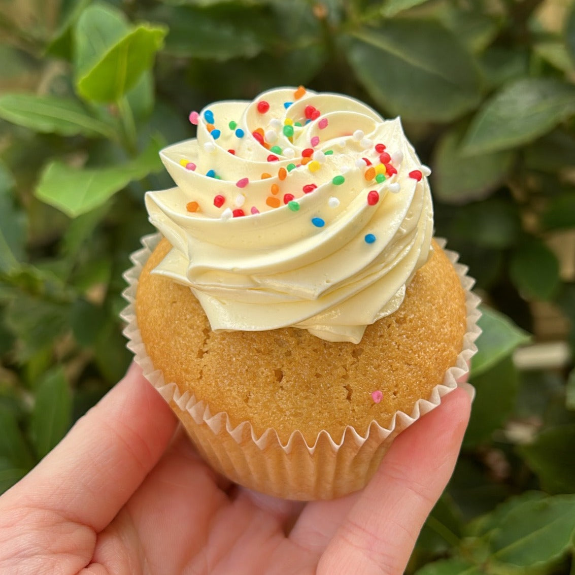 Cupcakes (12 pack)