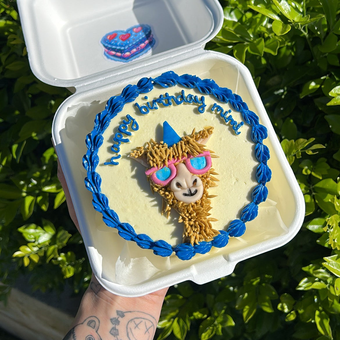 Novelty Bento Cake