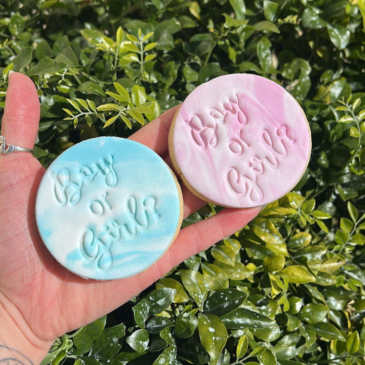 Pink and blue boy or girl round sugar cookies, held in a hand against a green leafy background.