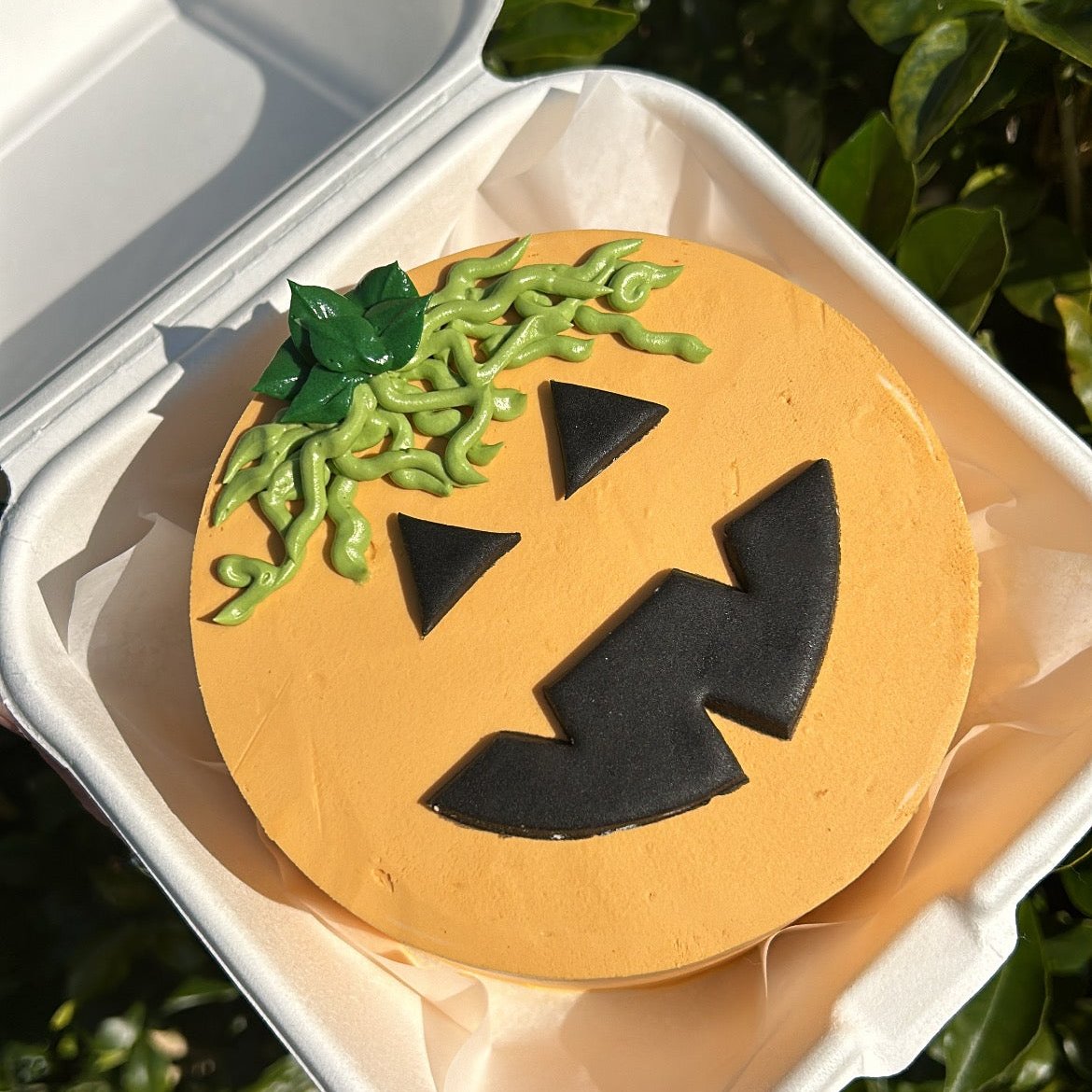 Lil' Pumpkin Bento Cake