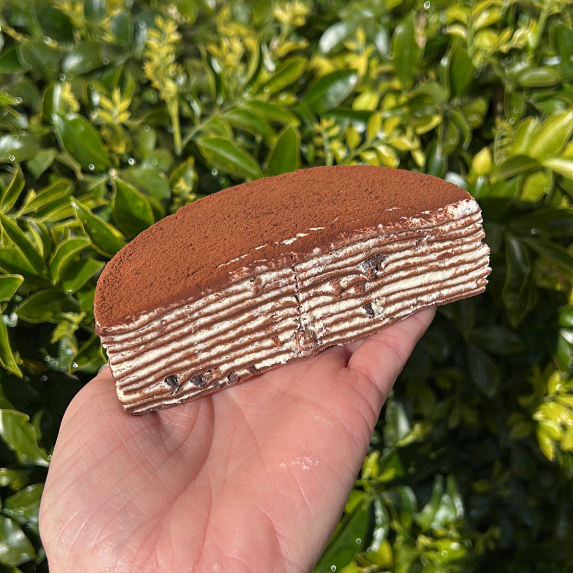 Inside of a layered chocolate crepe cake with a cocoa dusting topping, held on a white cake board against a green leafy background.