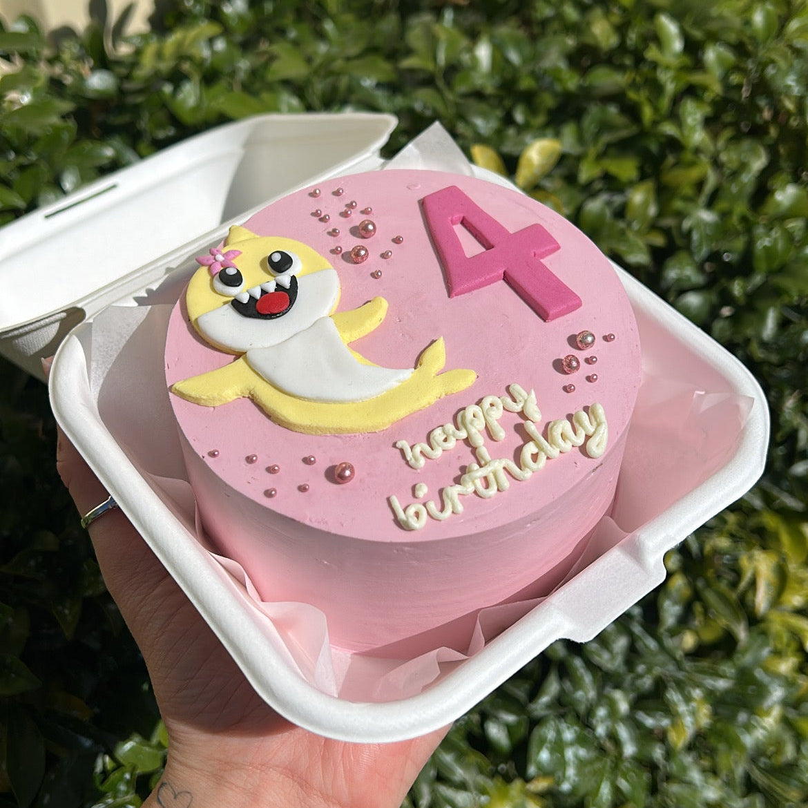 Novelty Bento Cake