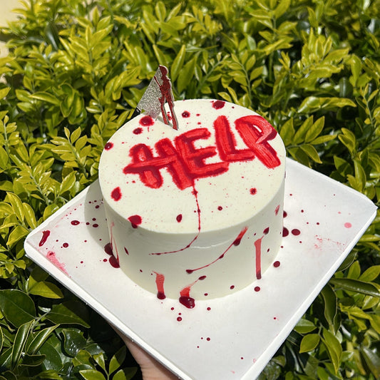 Help Me Bento Cake | 助けて弁当ケーキ
