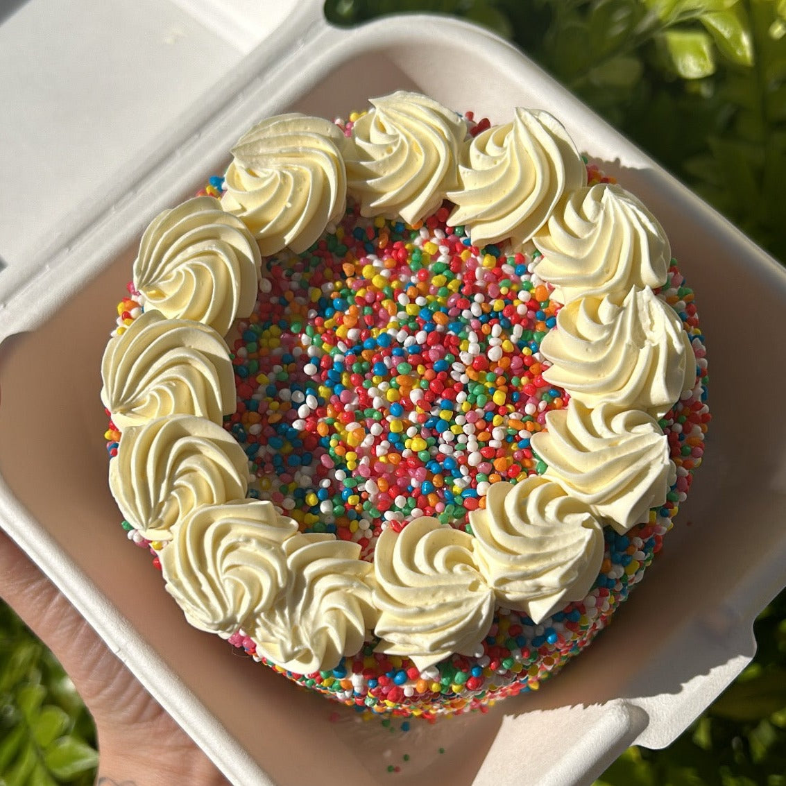 Sprinkles Bento Cake top view 