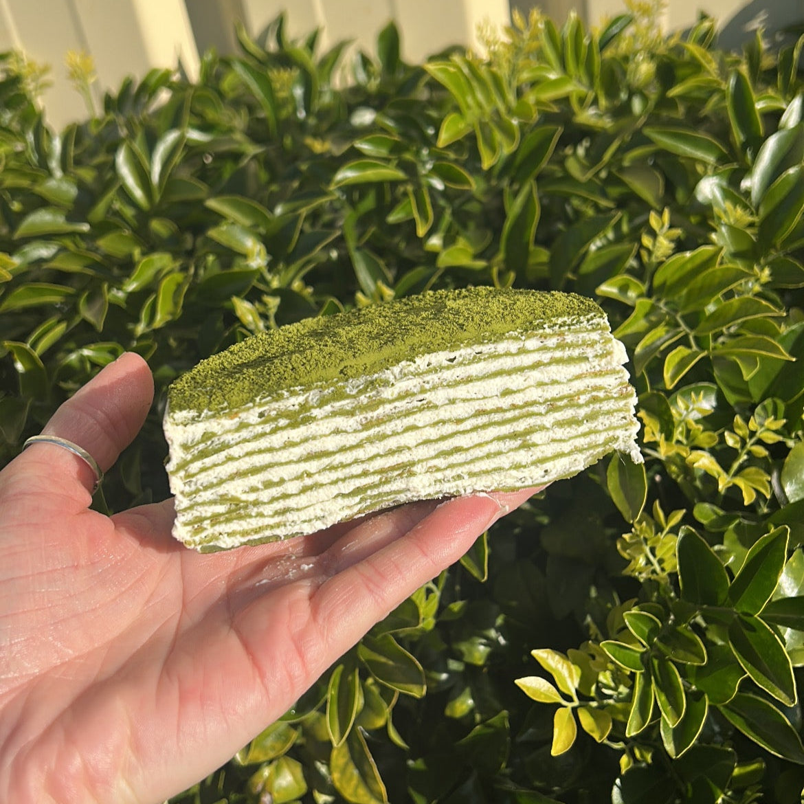 Inside of a layered matcha crepe cake with a matcha dusting topping, held on a white cake board against a green leafy background.