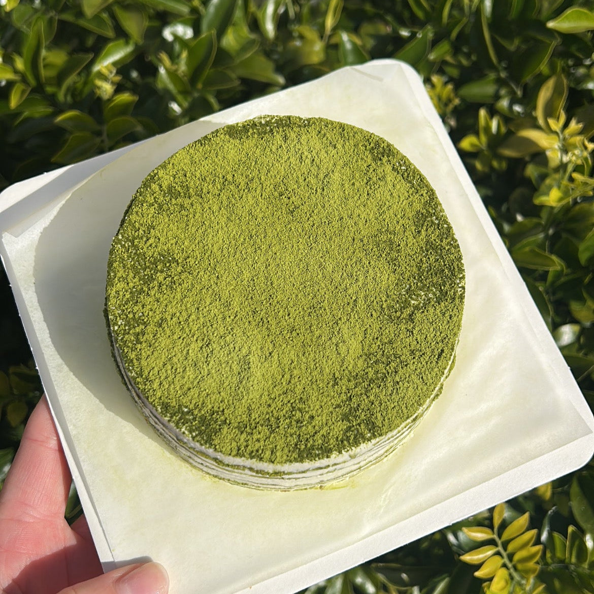 Top of a layered matcha crepe cake with a matcha dusting topping, held on a white cake board against a green leafy background.