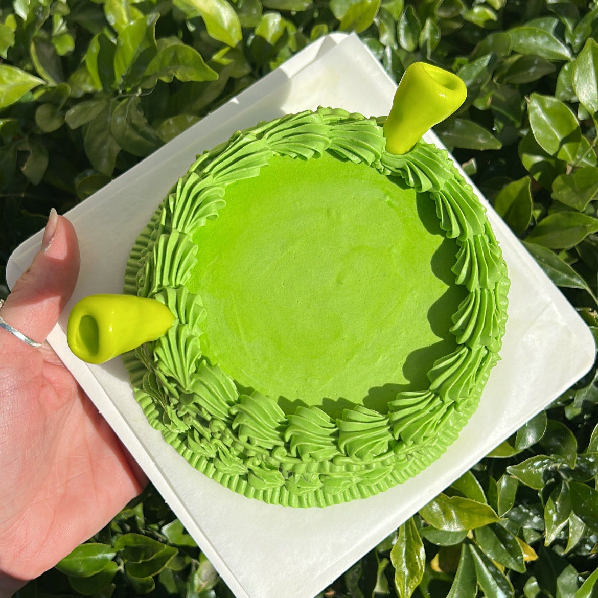 Top of a small, lime green colored, Shrek inspired bento cake with fondant Shrek ears, held in front of a leafy green background.